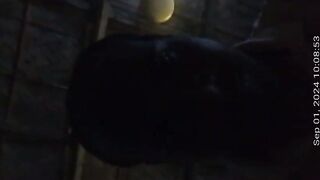 Village Cheater Bhabhi Fucked By Lover